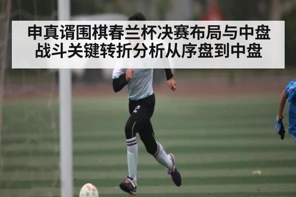 申真谞围棋春兰杯决赛布局与中盘战斗关键转折分析从序盘到中盘